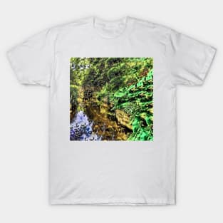 Zilker Botanical Gardens - Austin, Texas - Graphic 2 T-Shirt